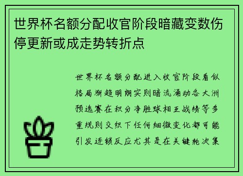 世界杯名额分配收官阶段暗藏变数伤停更新或成走势转折点 世界杯名额分配收官阶段暗藏变数伤停更新或成走势转折点